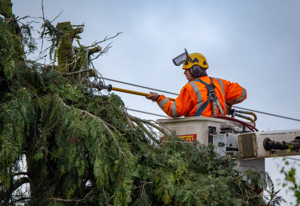  Bentleyville, PA Tree Services Pros